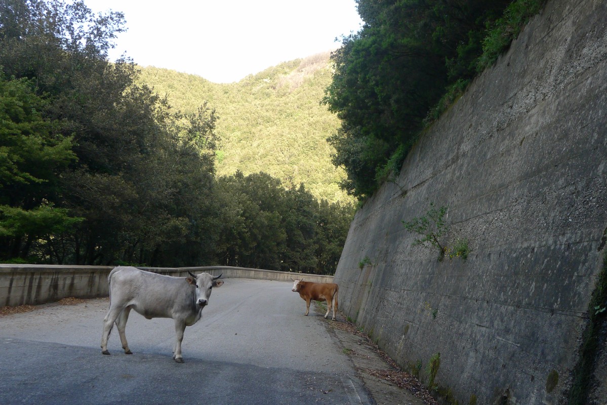 p1050008.jpg