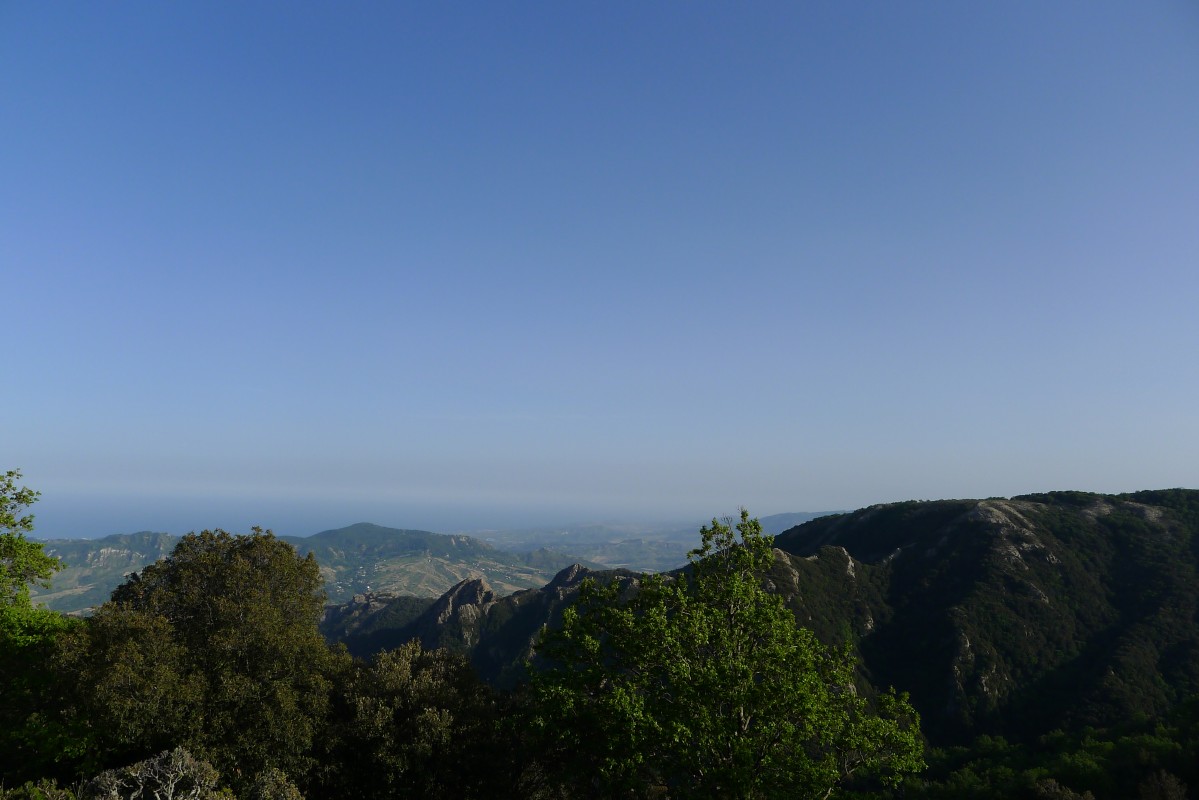 p1050014.jpg