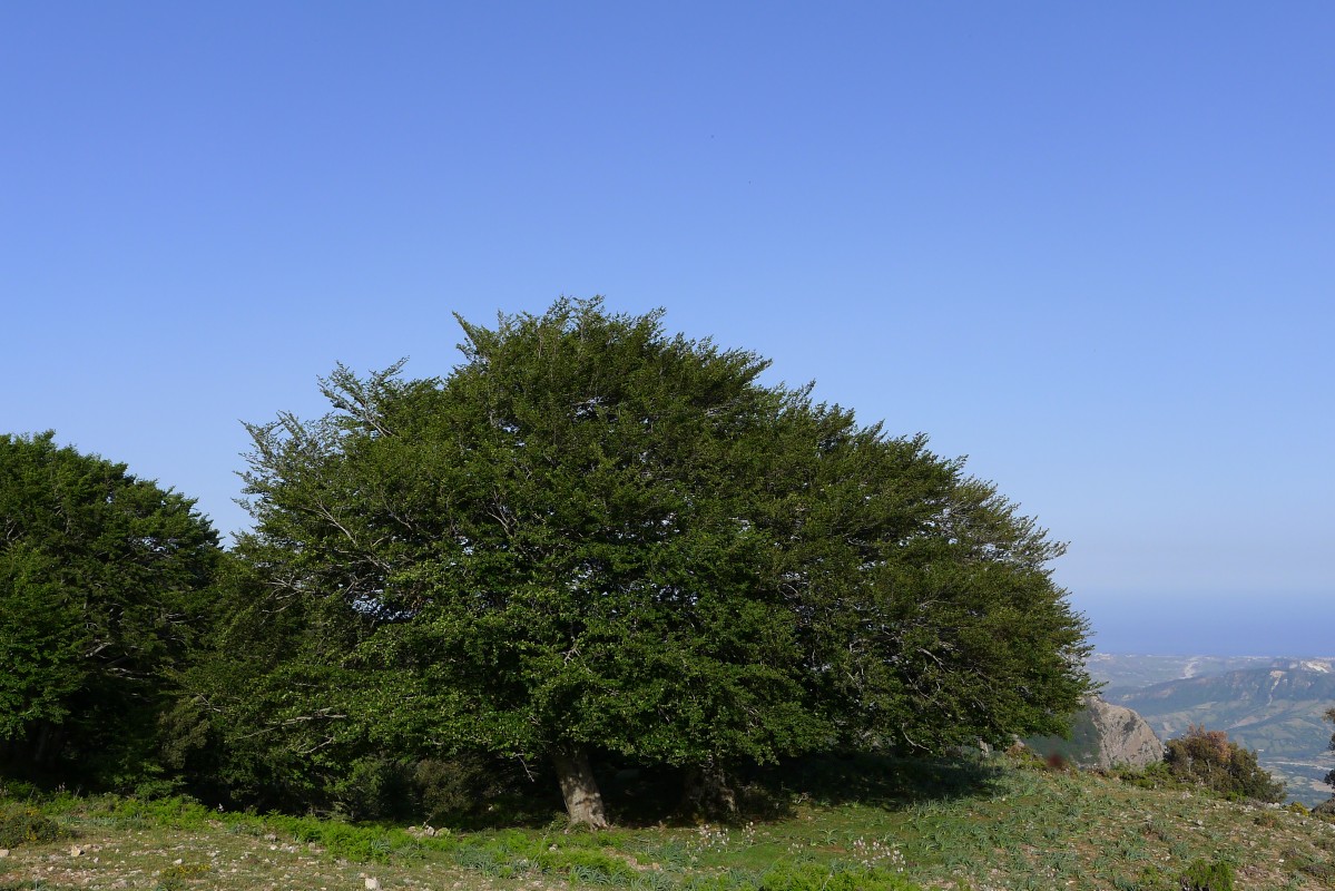 p1050015.jpg