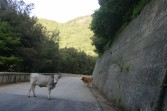 p1050008.jpg