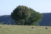 p1050011.jpg