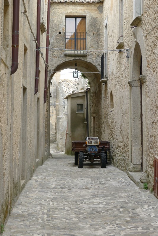 p1050039.jpg