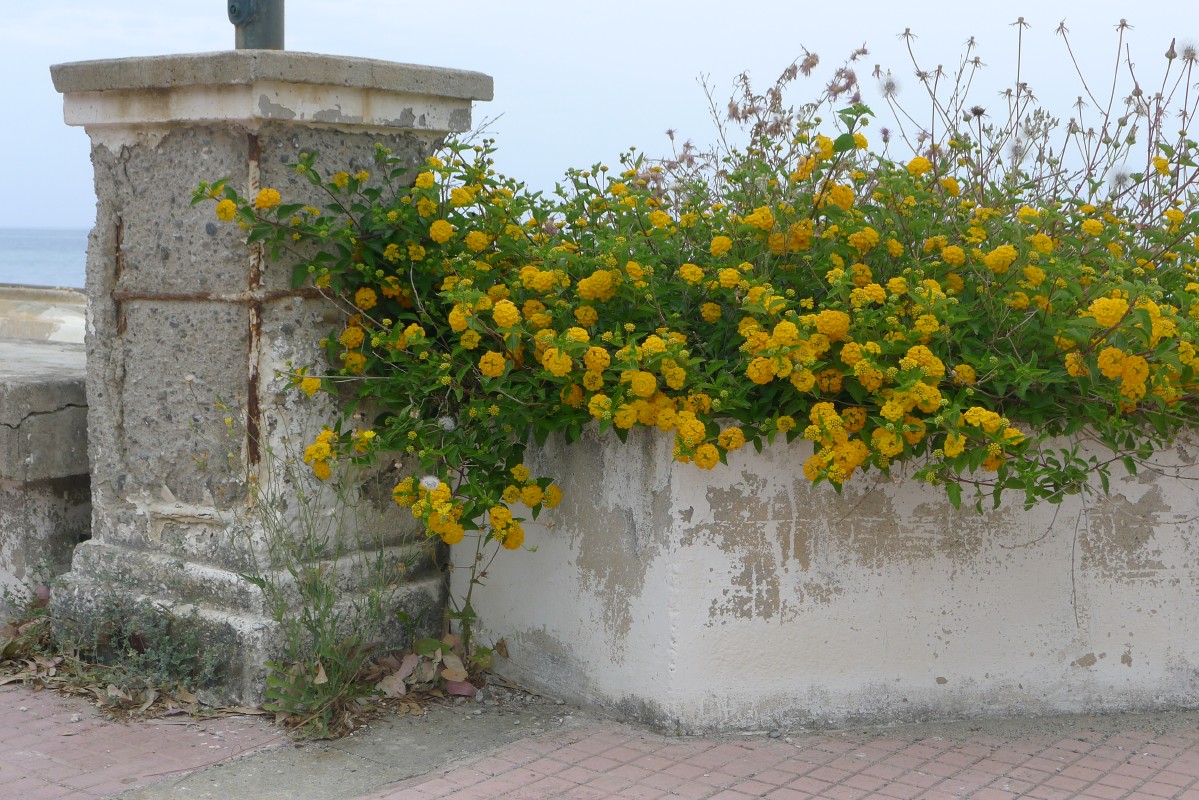 p1050047.jpg