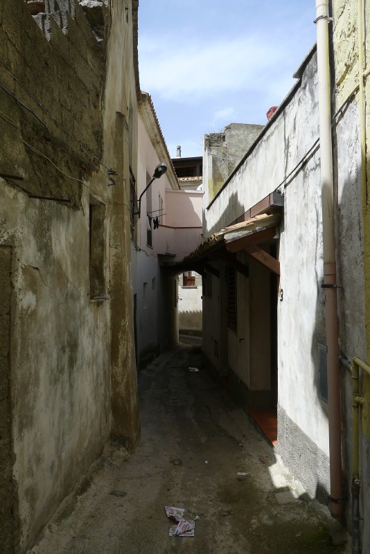 p1050059.jpg