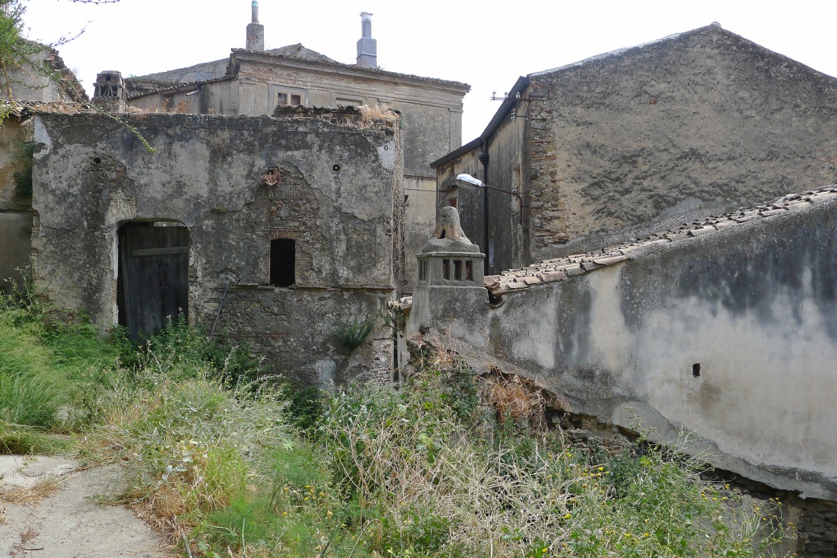 p1050066.jpg