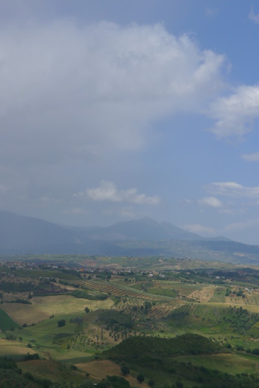 p1050109.jpg