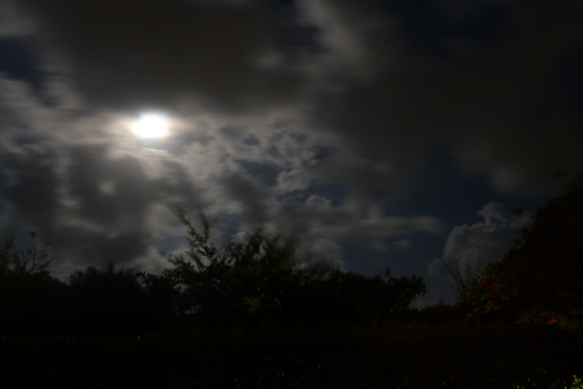 p1050177.jpg