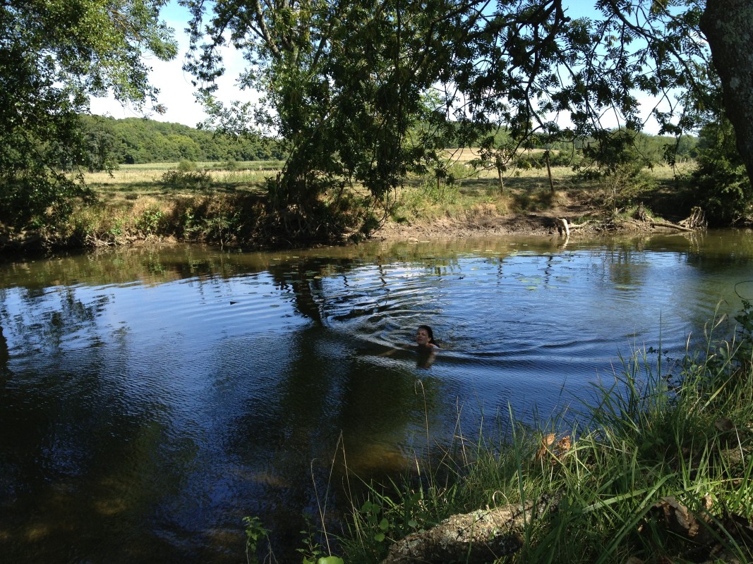 p1000811a.jpg