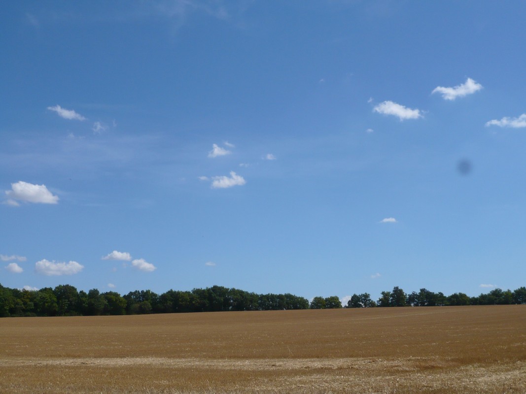 p1000814.jpg