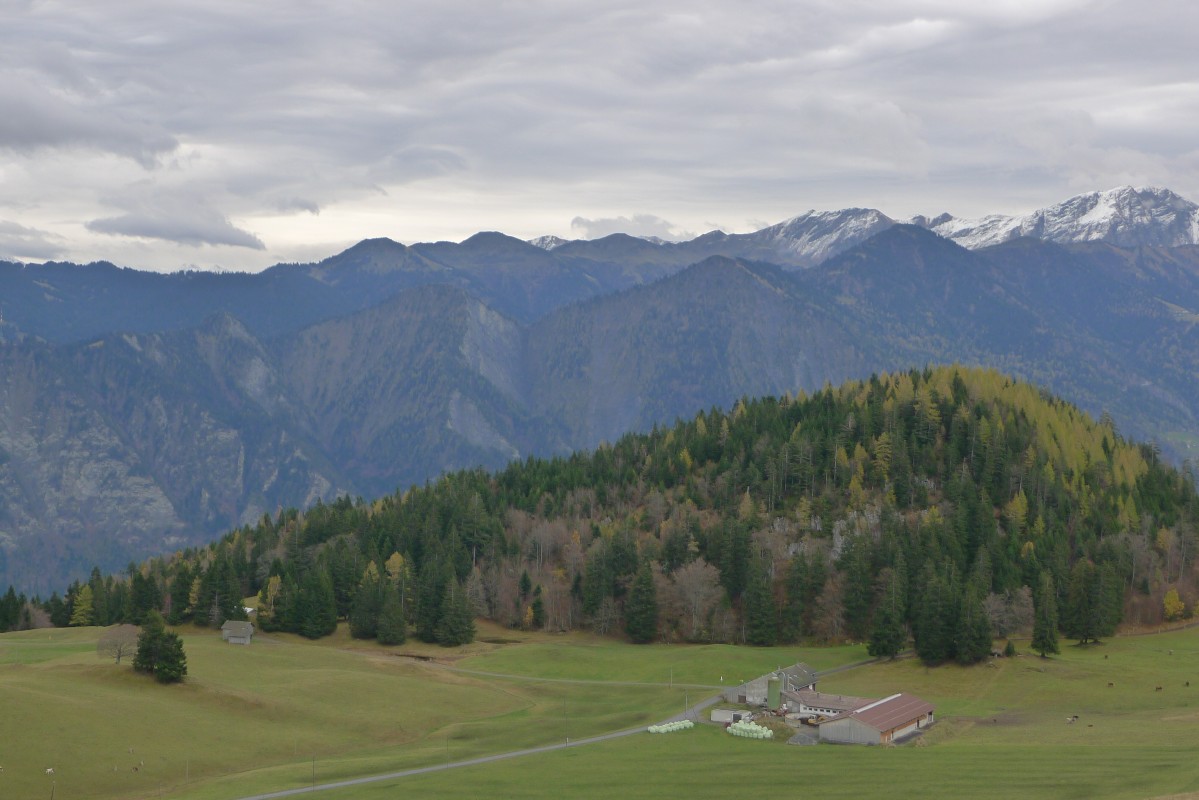 p1060243.jpg