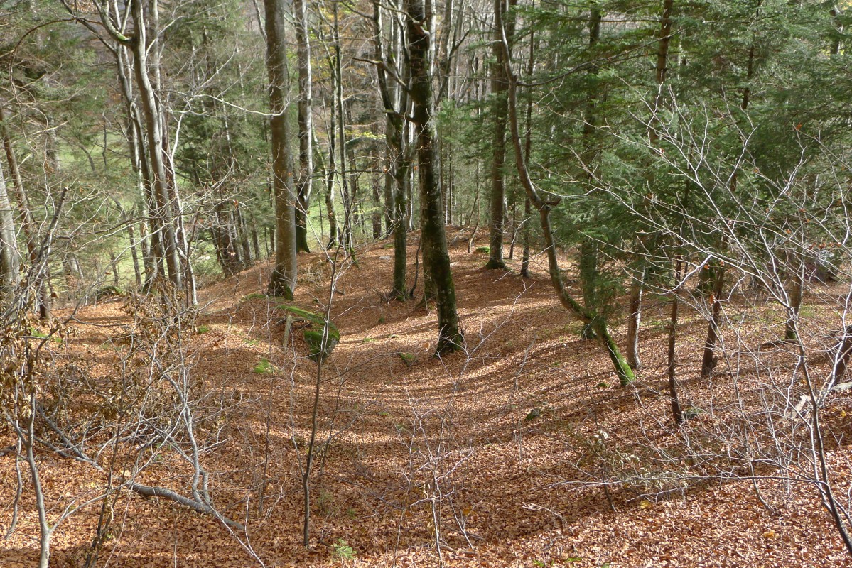 p1060256.jpg