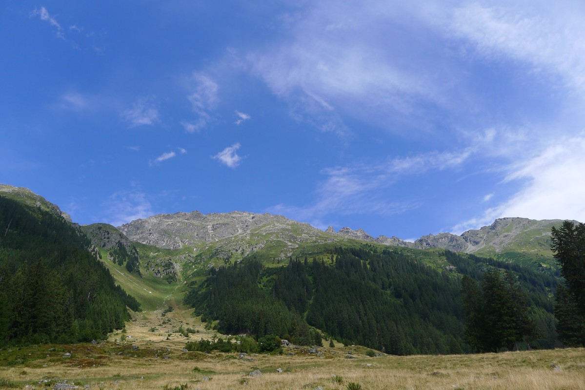 p1050793.jpg