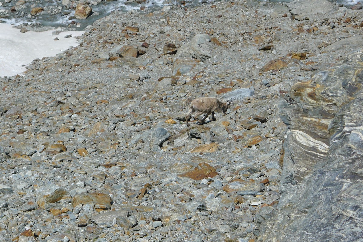 p1050557.jpg
