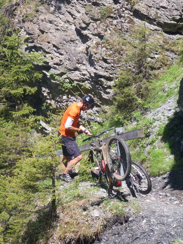 p1050278c.jpg