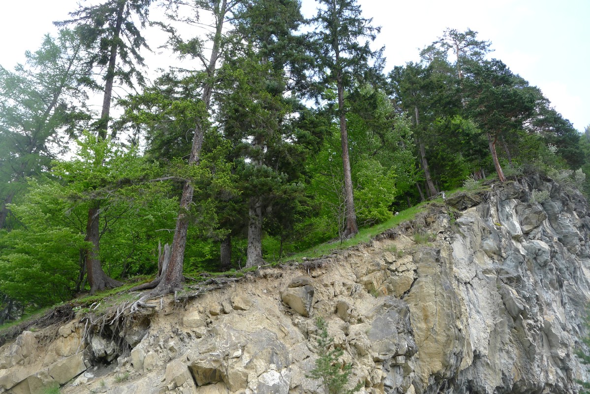 p1050306.jpg