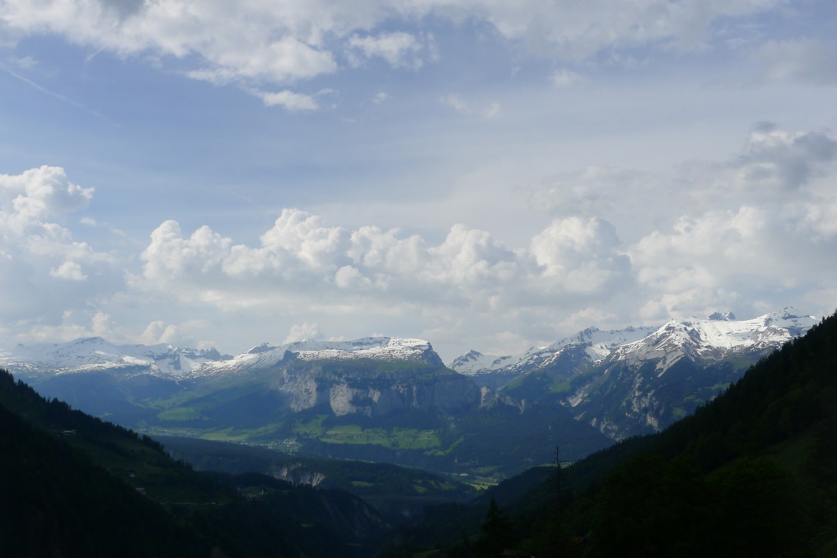 p1050307.jpg