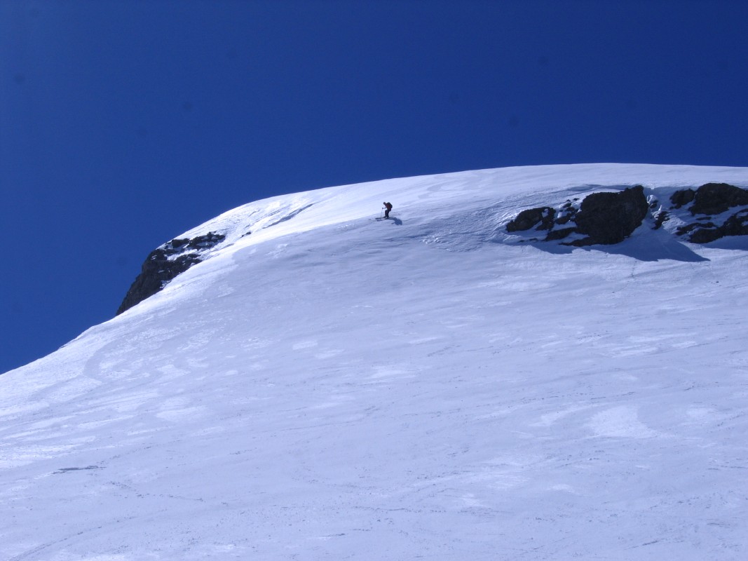 p1050250a.jpg