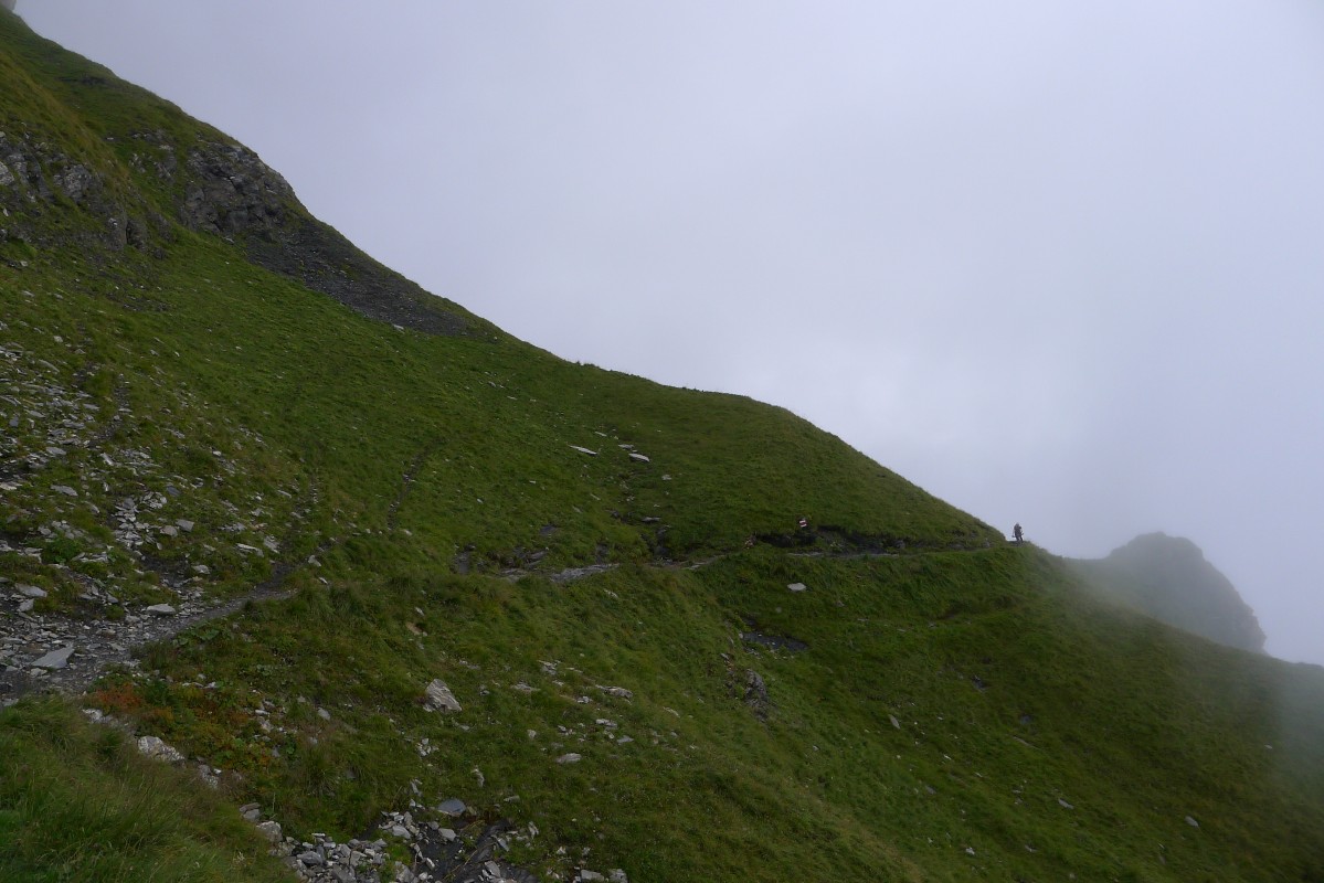 p1050930.jpg