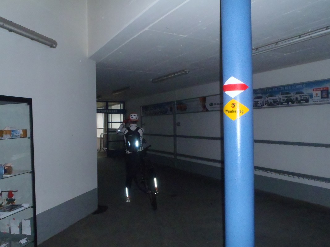 p1050935a.jpg