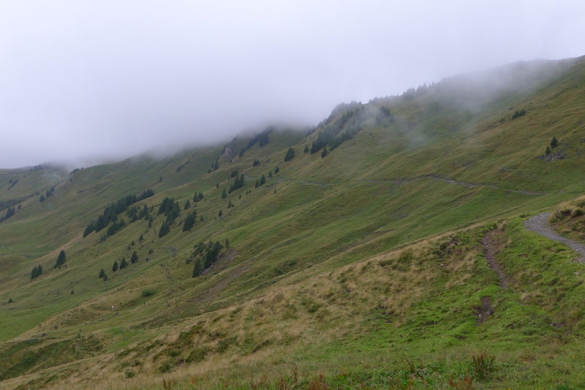 p1050939.jpg