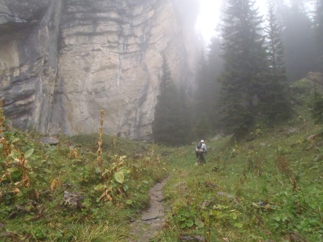 p1050941a.jpg