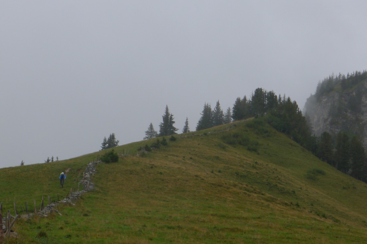 p1050946.jpg
