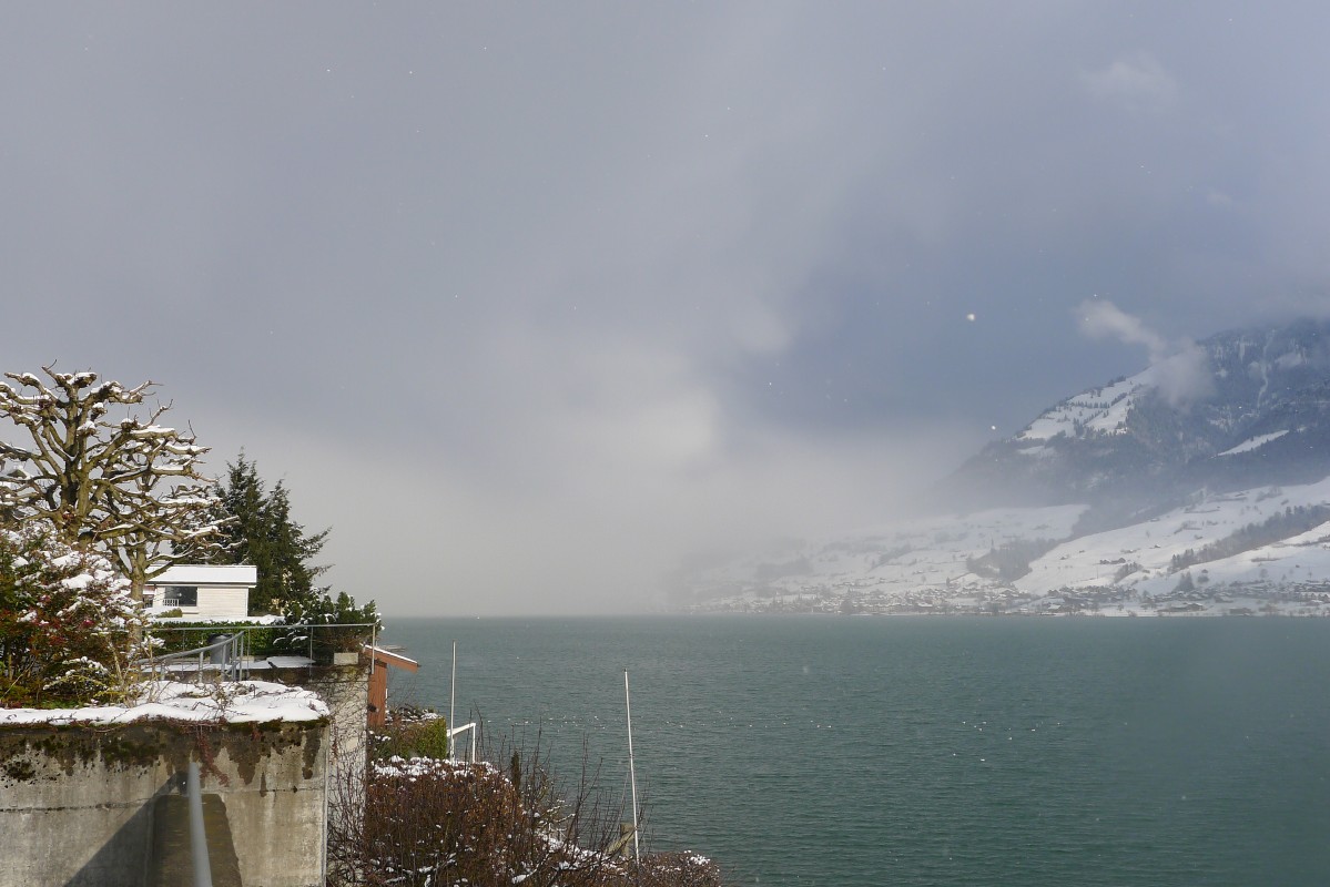 p1030652.jpg