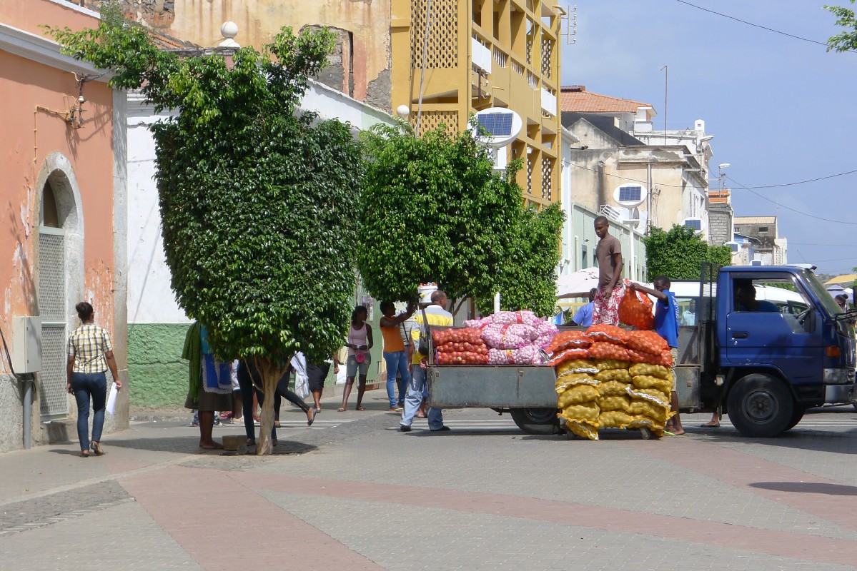 p1060365.jpg