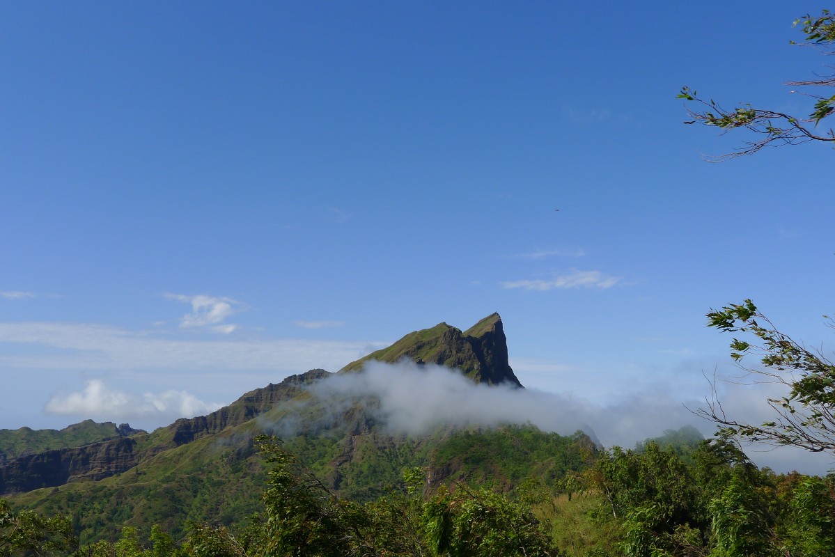 p1060445.jpg