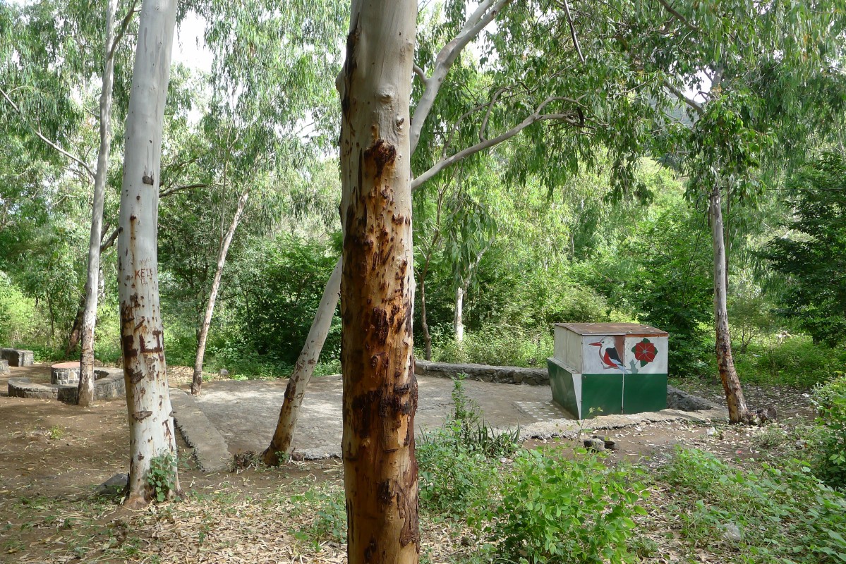 p1060467.jpg