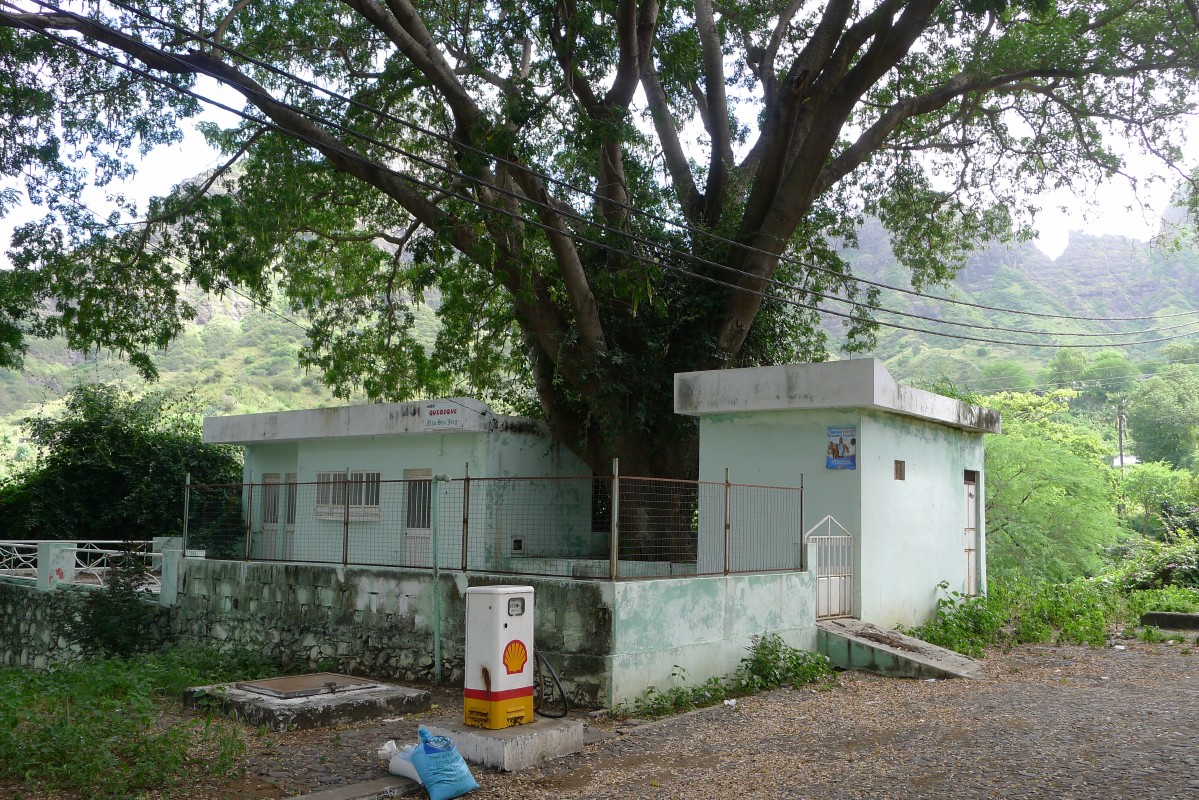 p1060471.jpg
