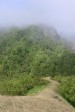 p1060440.jpg
