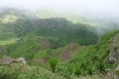p1060450.jpg