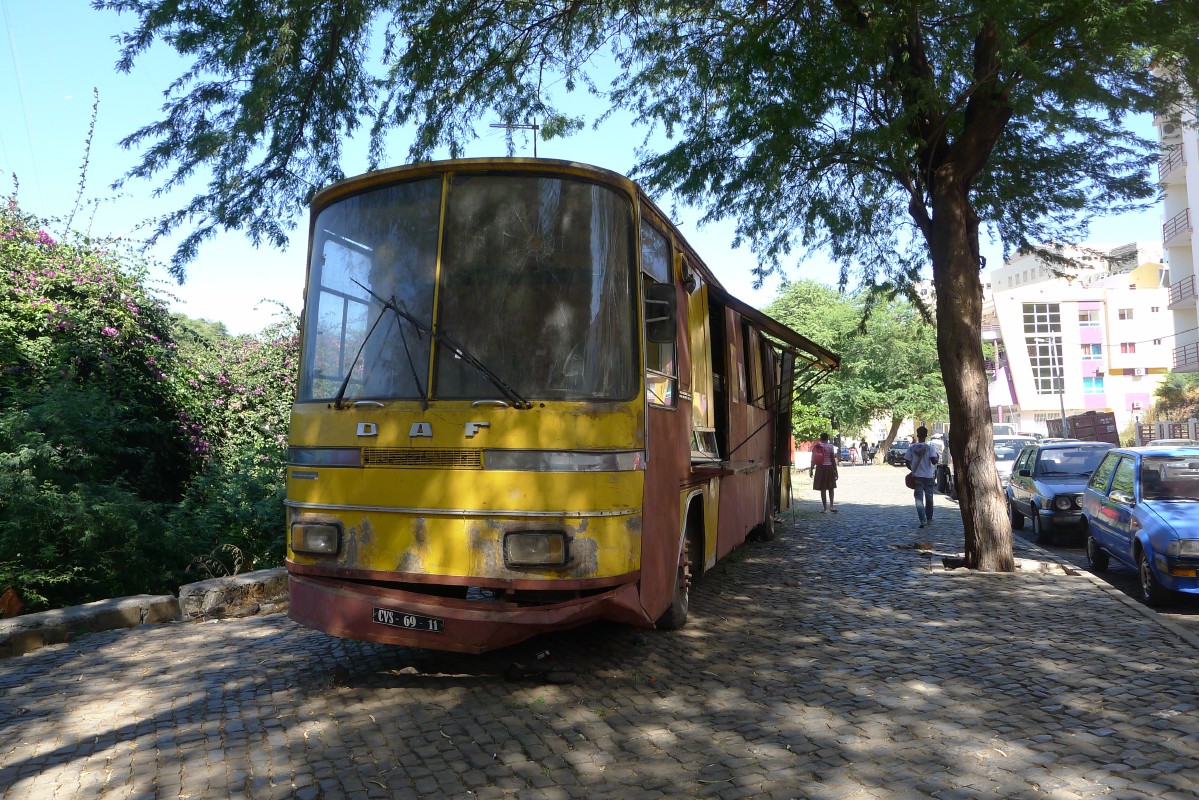 p1060585.jpg