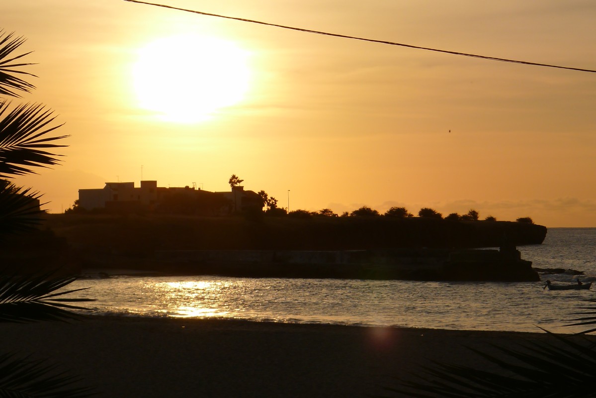 p1060649.jpg