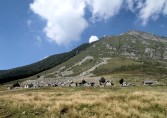1. August Tessin