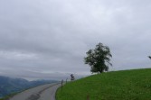 p1050380.jpg