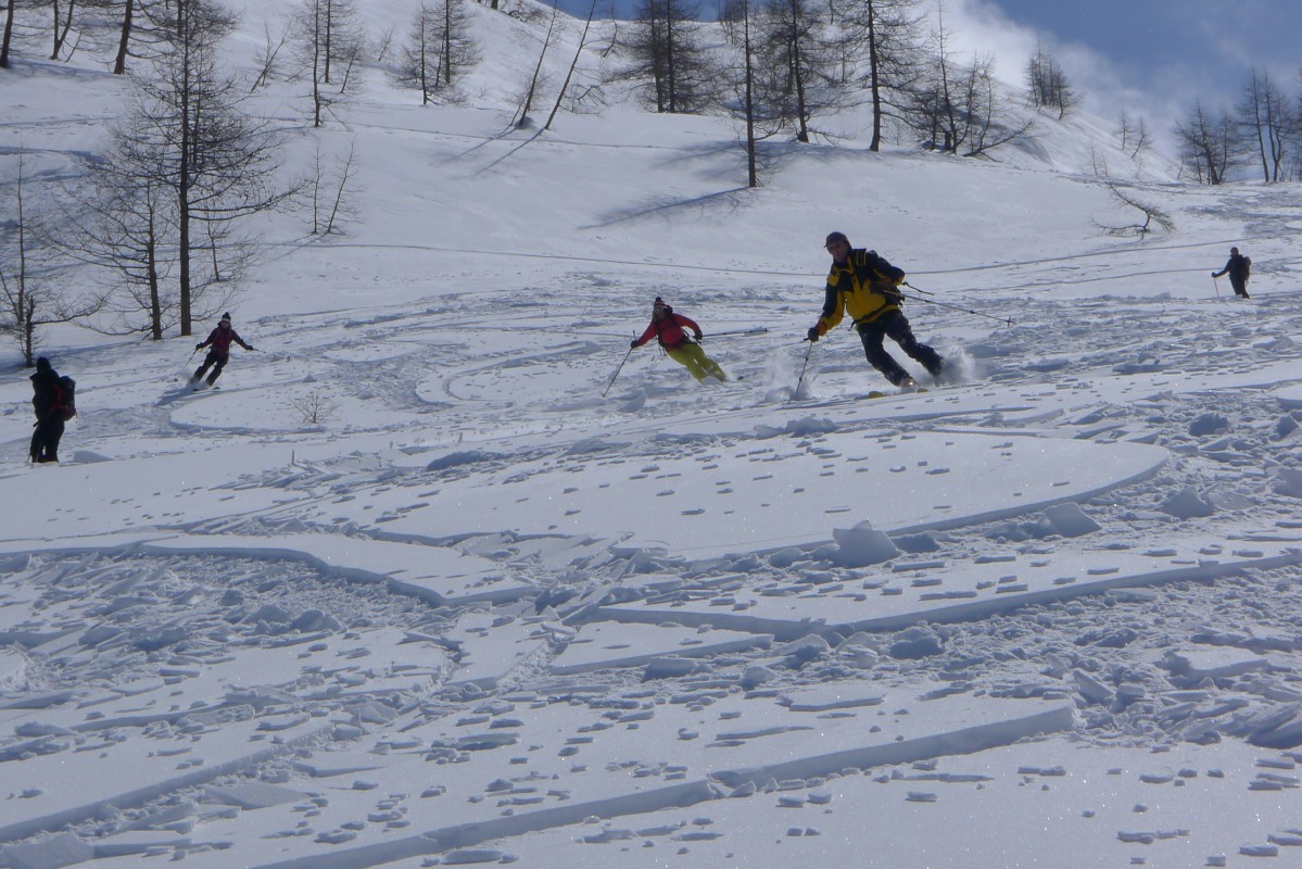 p1040448.jpg