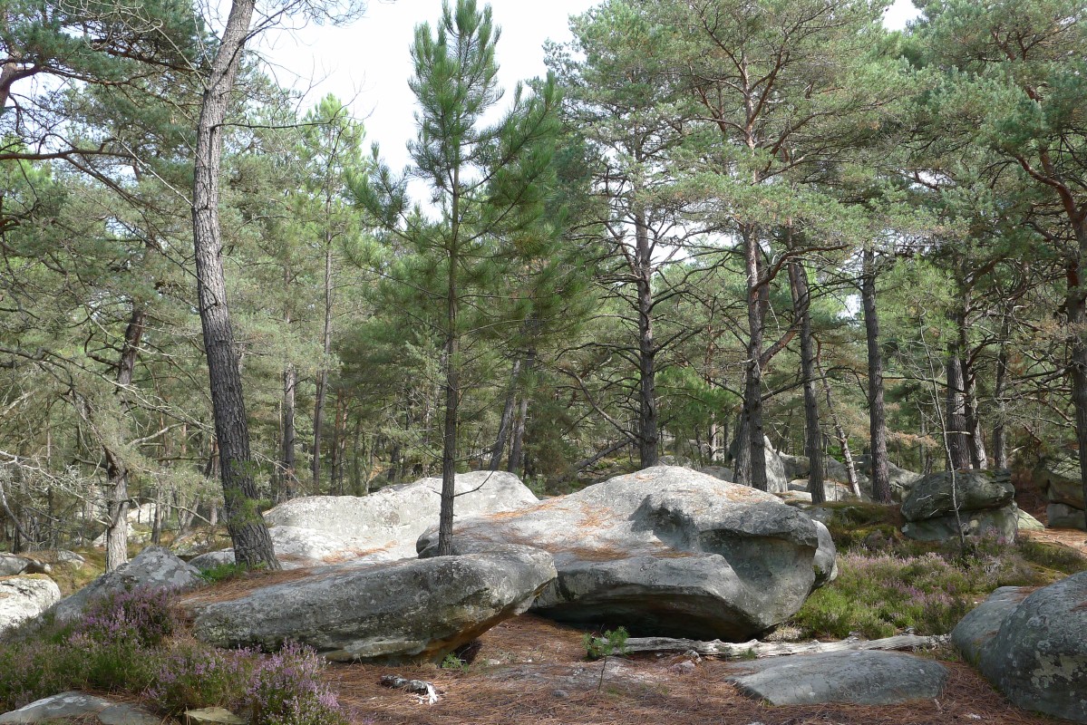 p1050981.jpg