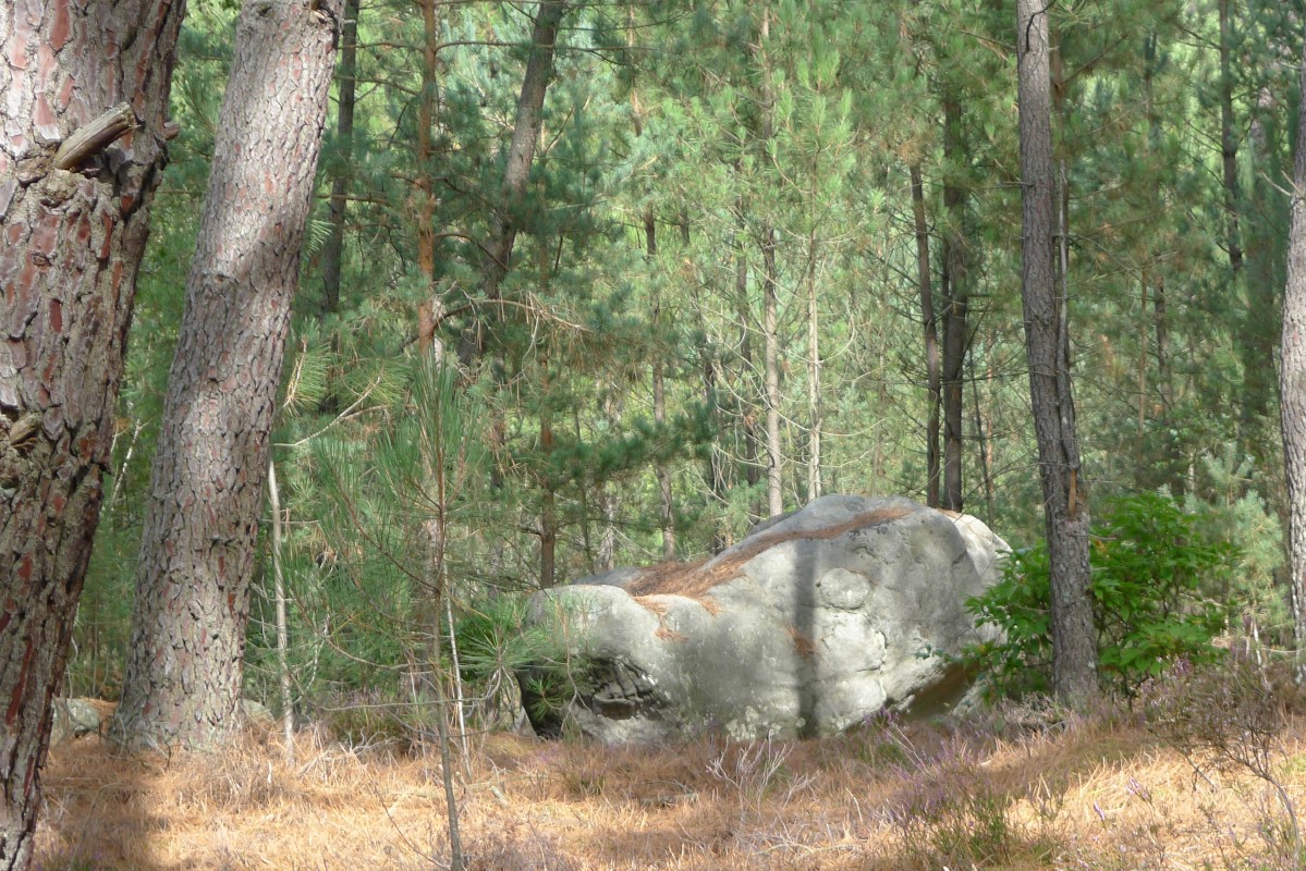 p1050990.jpg