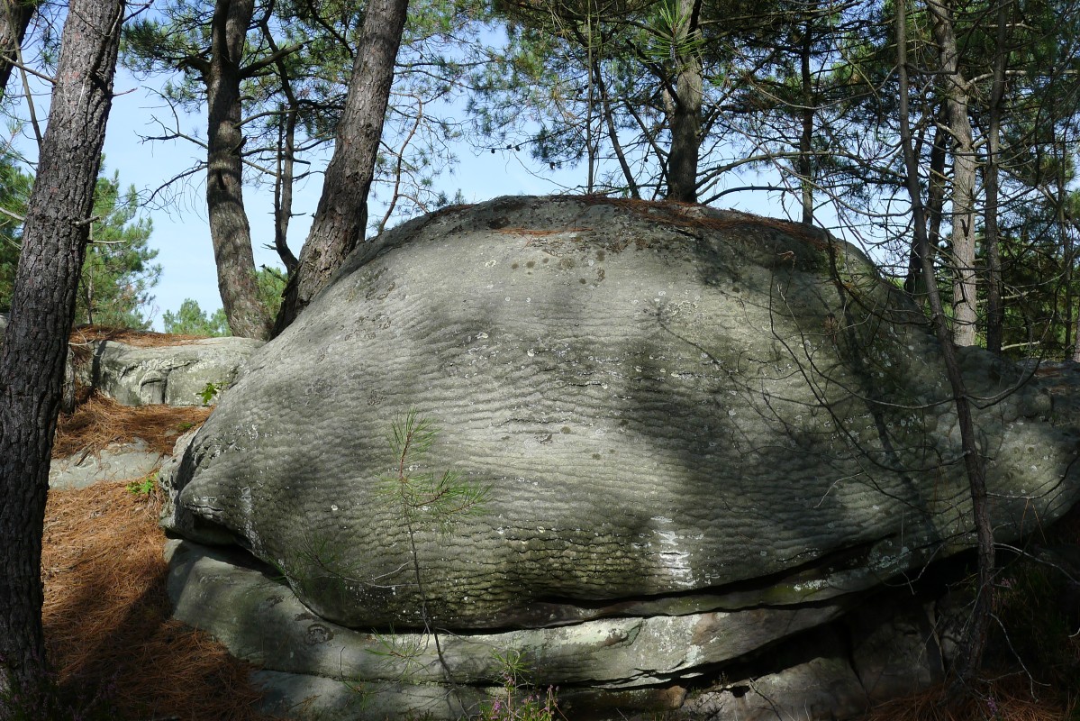 p1060001.jpg