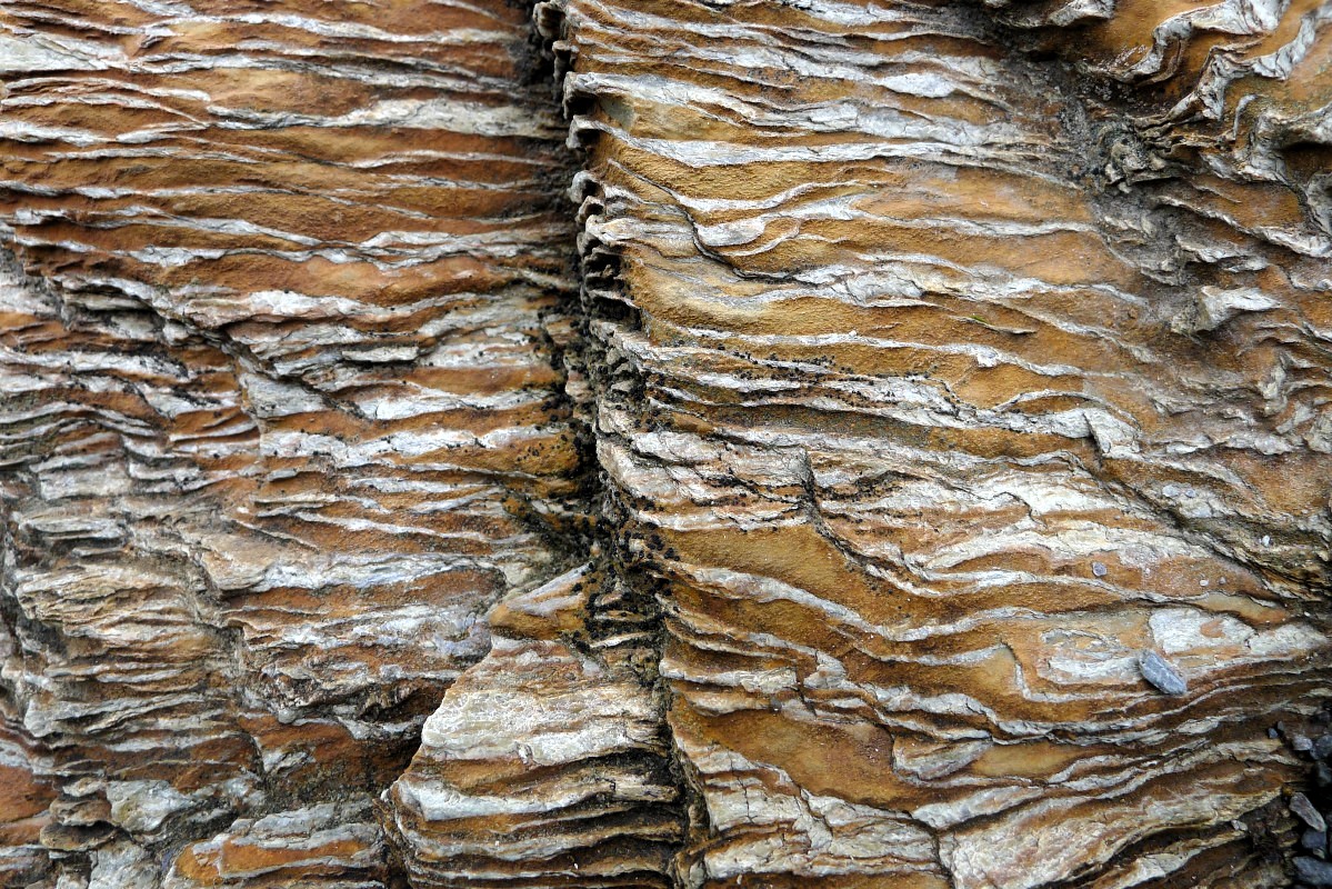 p1050921.jpg