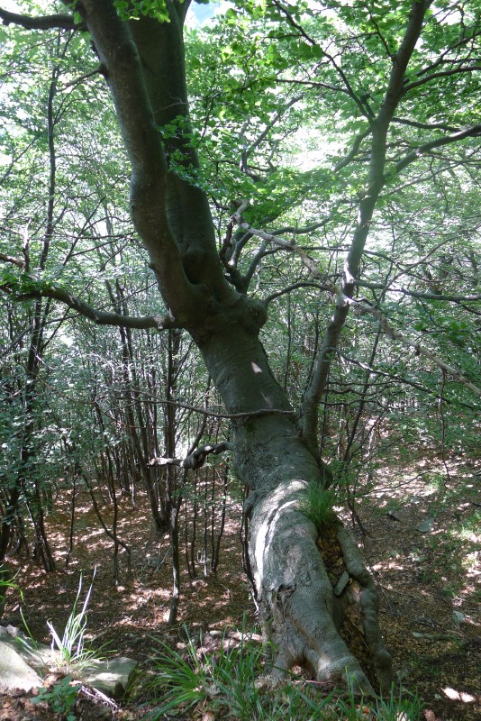 p1050725.jpg