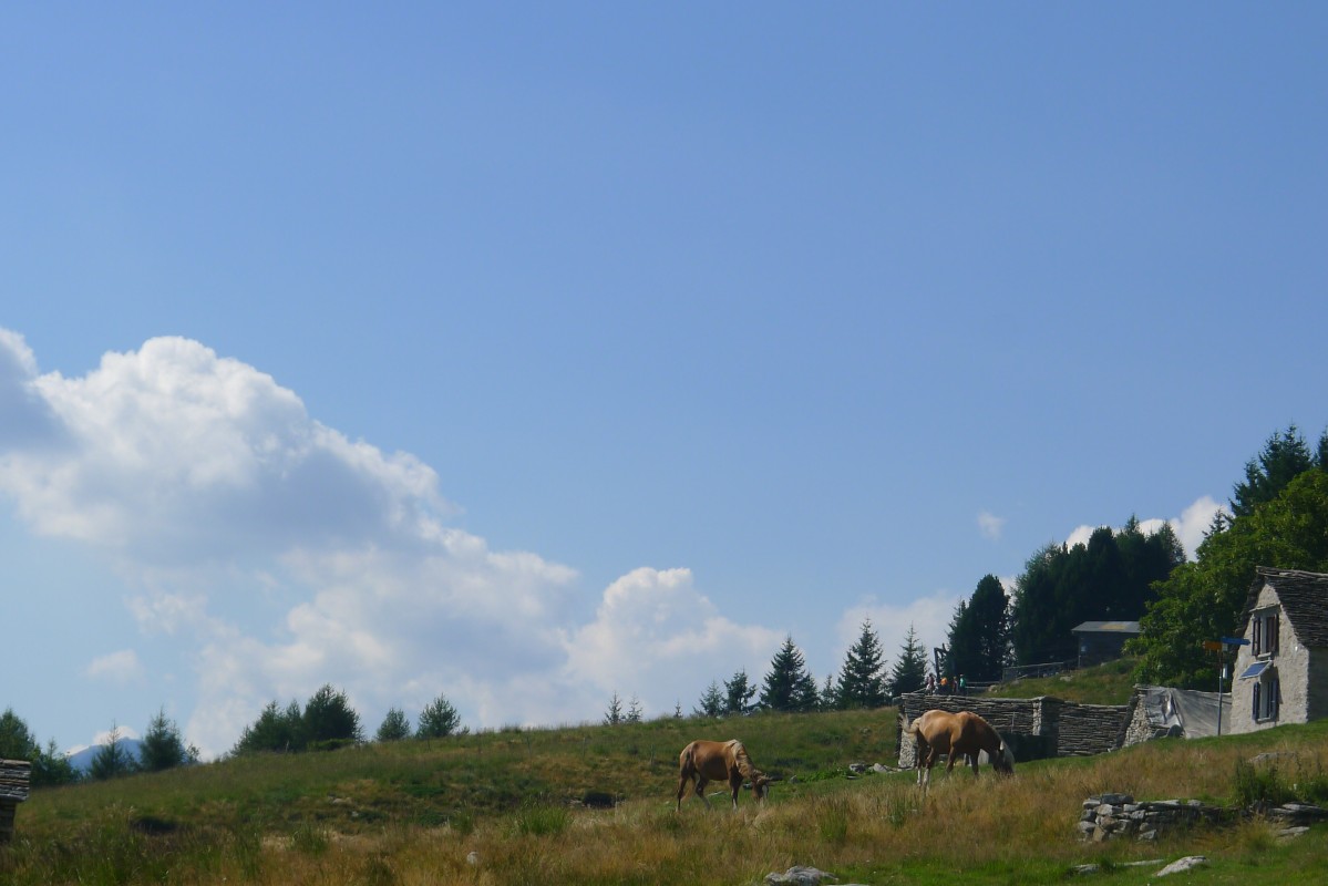 p1050730.jpg