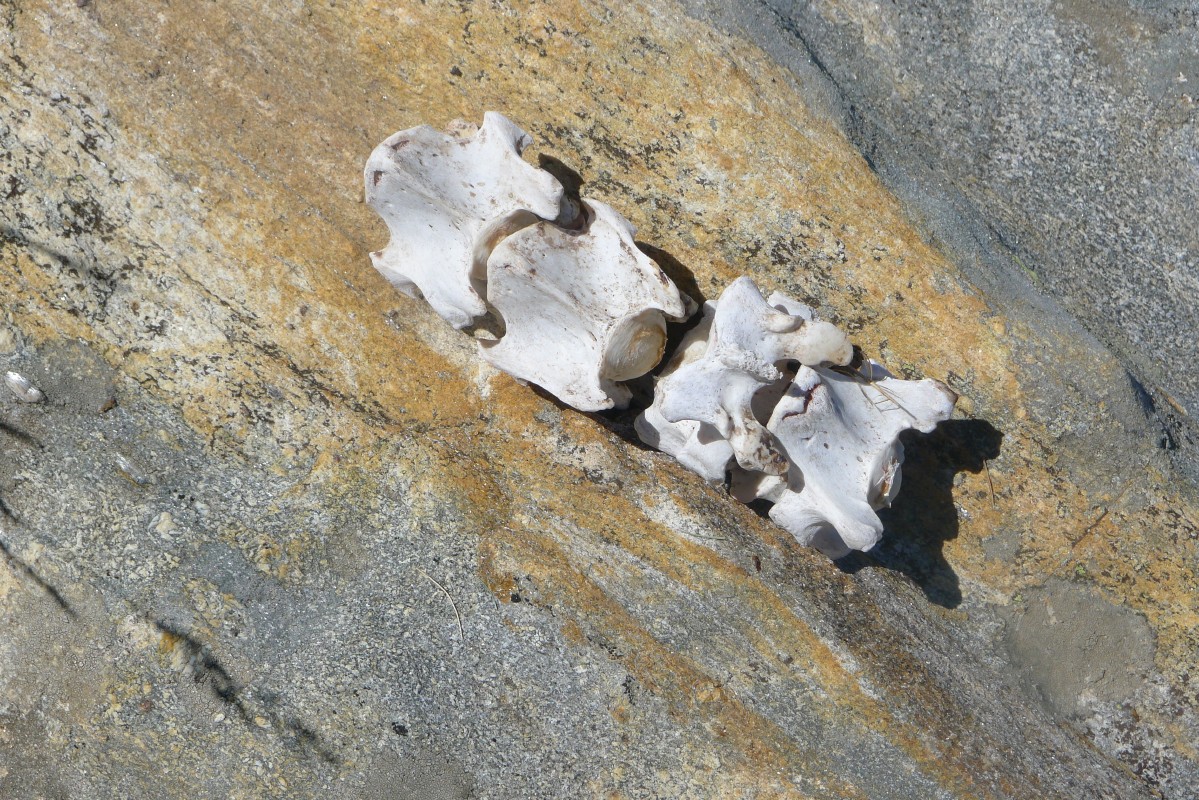 p1050746.jpg