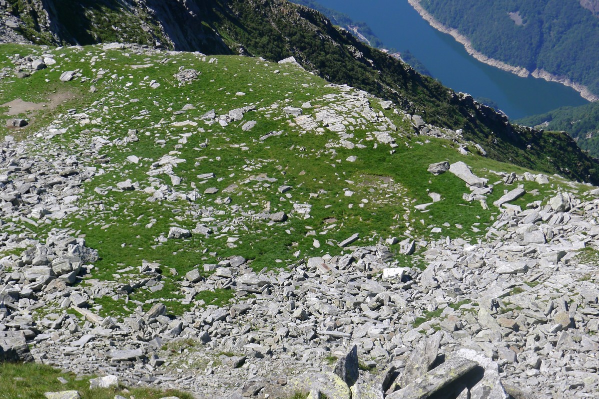 p1050747.jpg