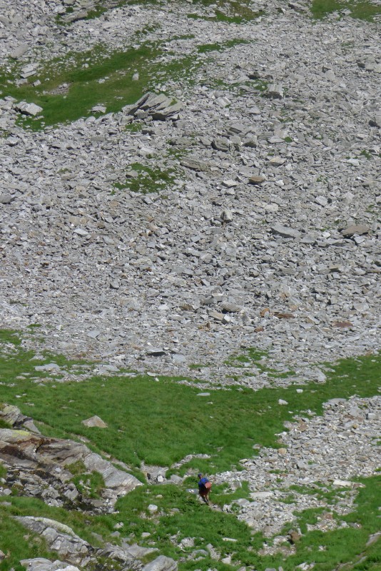 p1050760.jpg