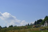p1050730.jpg