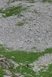 p1050760.jpg