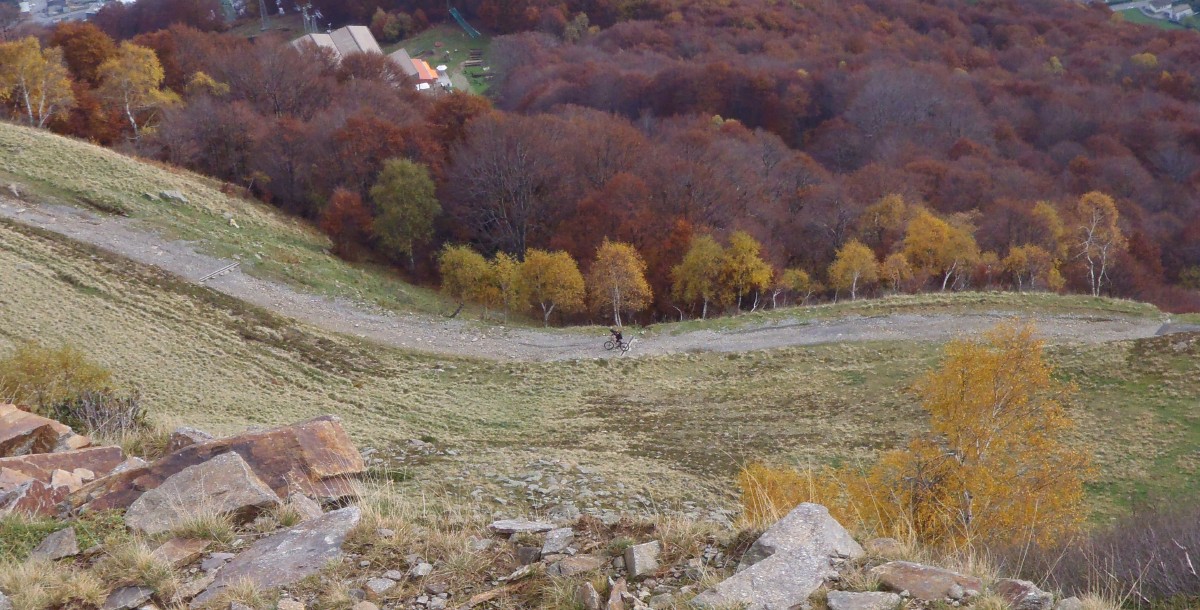 pa264785.jpg